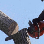 skracanie adresu WWW